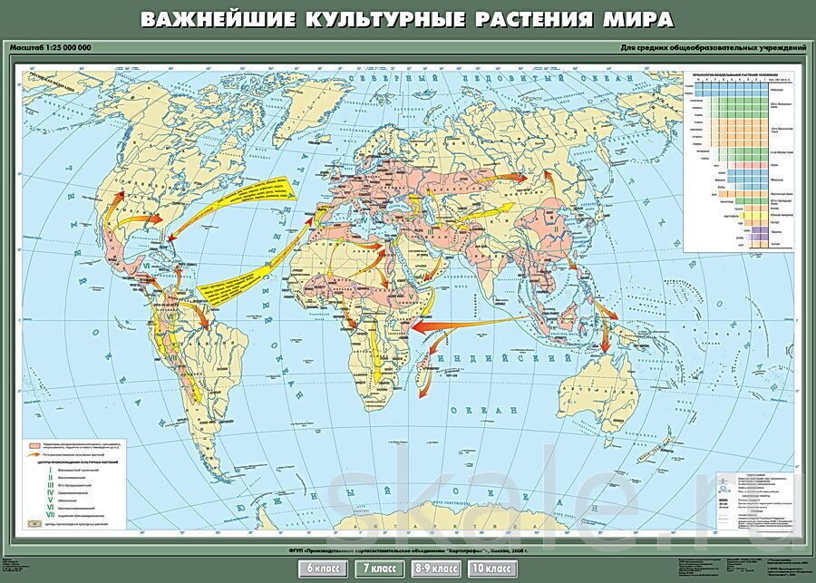 Используя карту важнейшие. Карта распространения культурных растений. Центры происхождения важнейших культурных растений.