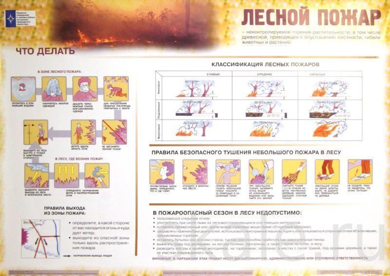 План поведения в чрезвычайной ситуации природного характера