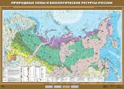 Карта Природные зоны и биологические ресурсы России для 8-9 классов